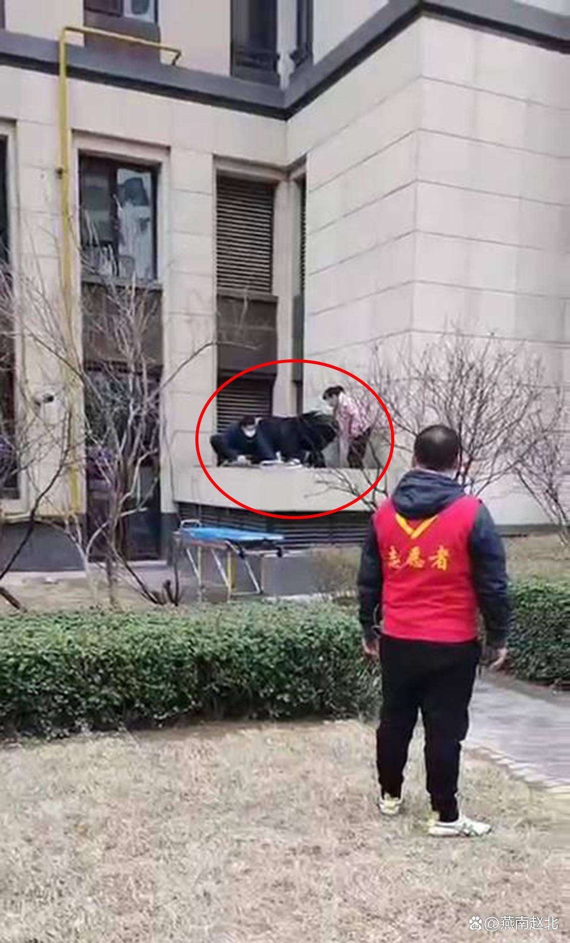 孩子从9楼坠落，悲剧背后的警醒与深思