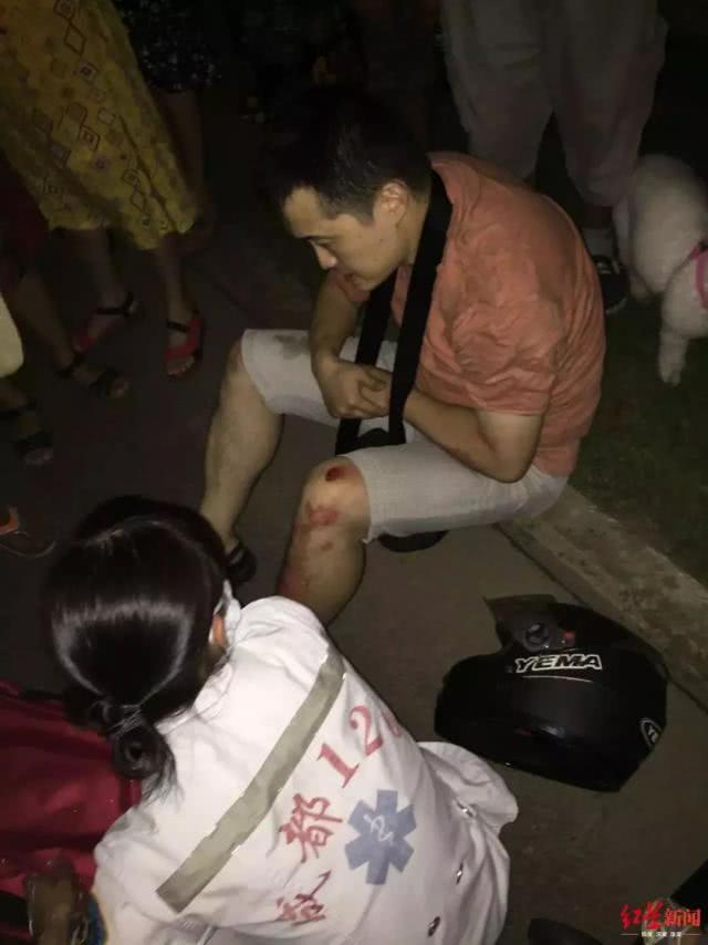 狗在草地上自由奔跑的乐趣与启示