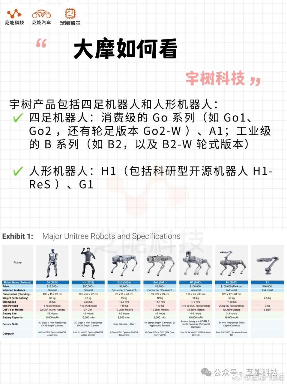 宇树机器人价格解析，全方位了解机器人市场的新宠儿