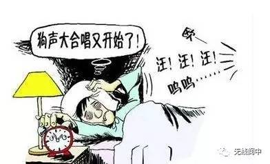 天屎之路引热议，行人频频中招