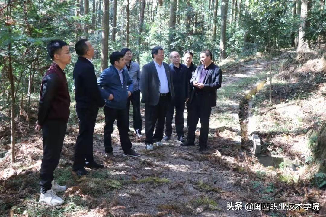 福建人眼中的女明星，为何刘涛成为福建人最怕的女明星？