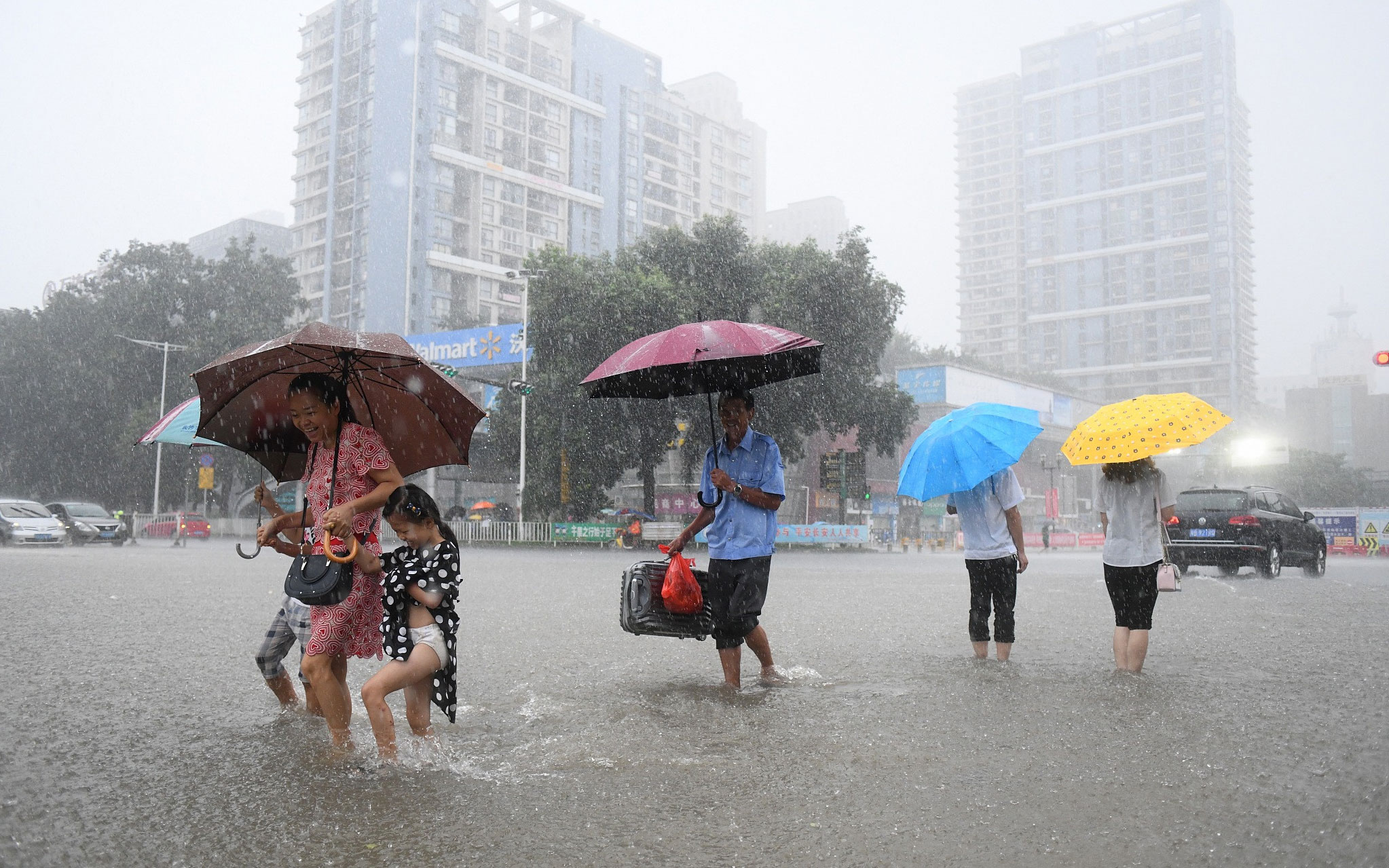 南方多地将迎大暴雨，如何应对与防范？