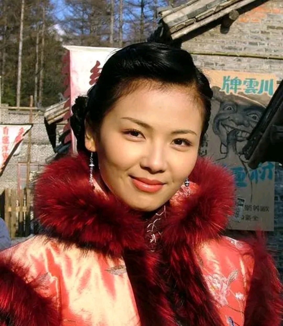 刘涛没有出演下面哪部作品，深度解析与遗憾回顾
