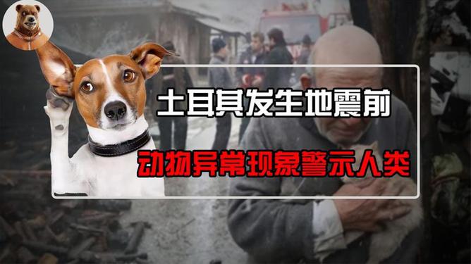 动物异常行为与地震，自然界的隐秘信号