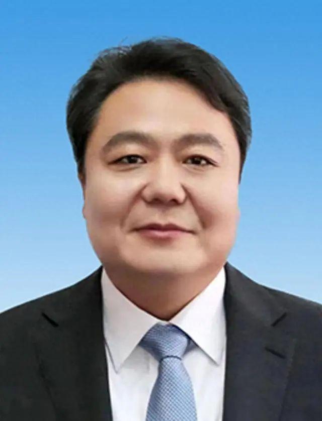南阳市委副书记被查事件深度解析