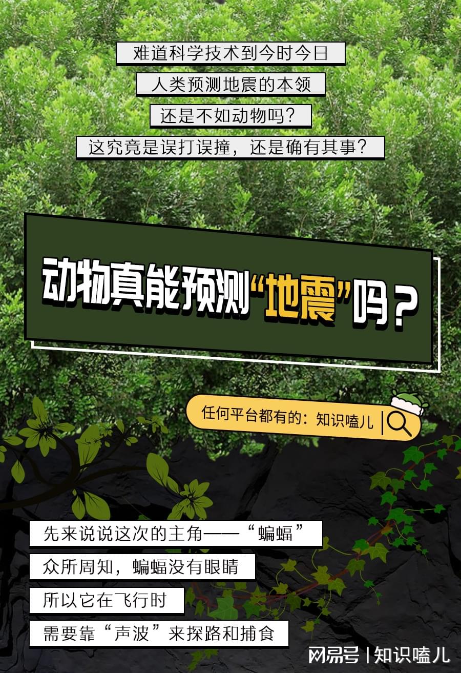 动物有预测地震的能力吗？揭秘自然界的神秘感知力