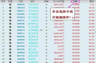 黄金股现涨停潮，市场趋势与应对策略