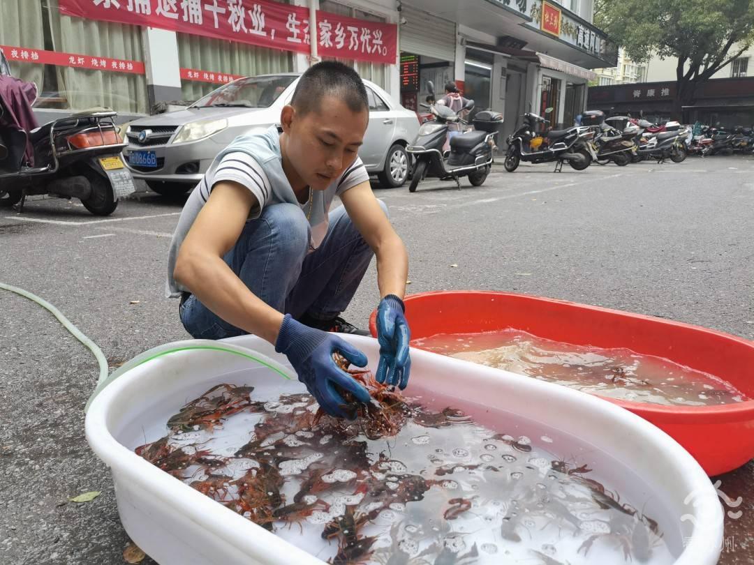 小龙虾价格腰斩，市场波动下的新态势