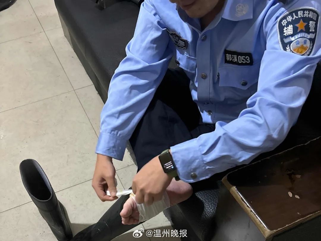 辅警偷懒现象，挑战与解决之道