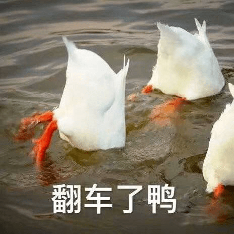 老板拒售变质鸭逃过一劫，被质疑摆拍背后的真相