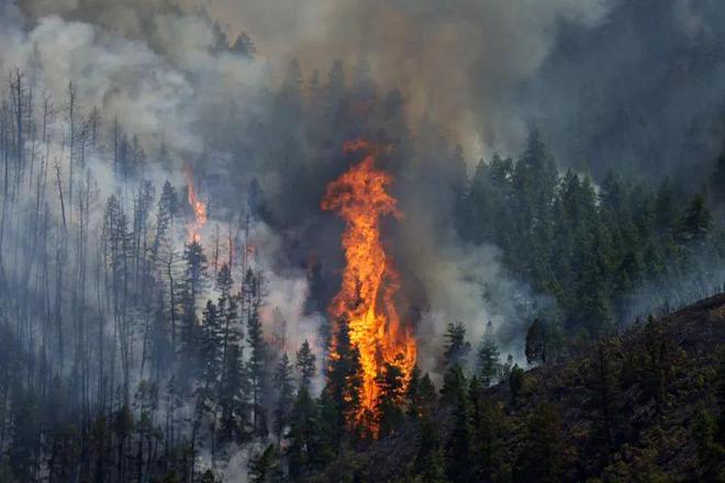 美国新泽西州遭遇近二十年最严重山火，挑战重重