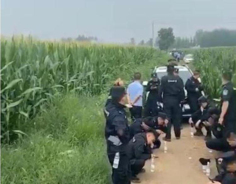 商务部敦促美方全面取消对华关税，推动贸易平衡，促进全球经济复苏