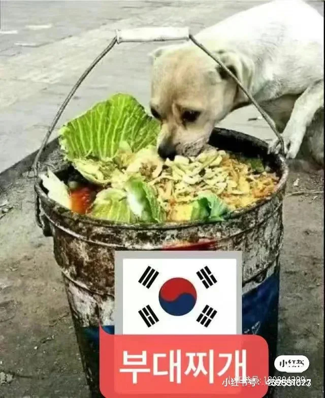 残运会盒饭只有泡菜，背后的故事与思考