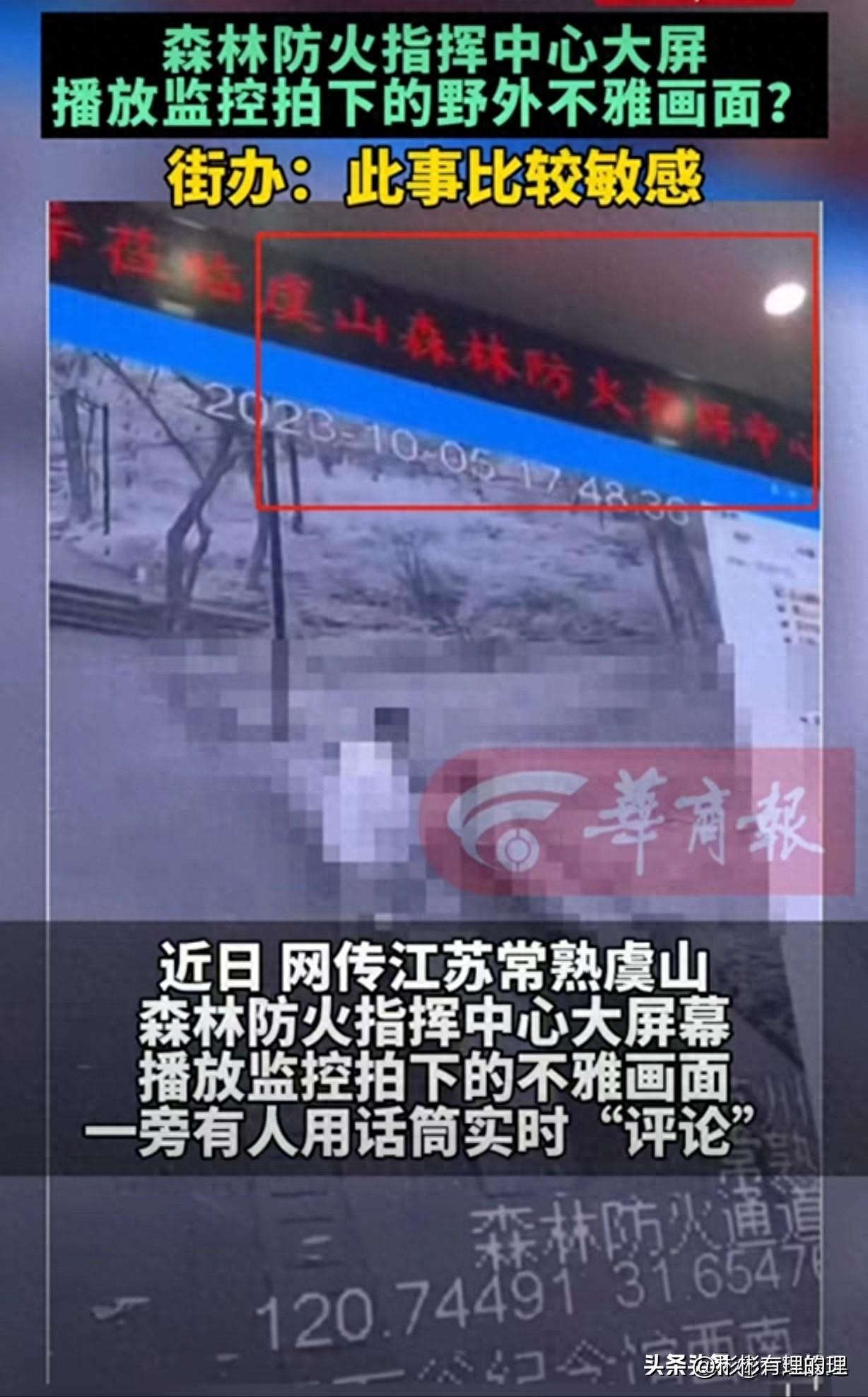 媒体评公司大屏现不雅视频，探究背后的真相与反思