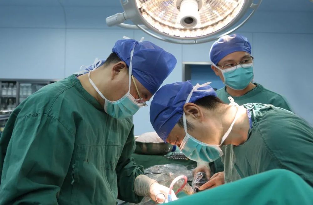 男子做生殖手术后身亡，卫健委介入调查事件分析