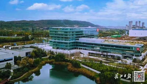 小米总部工作加班情况深度解析