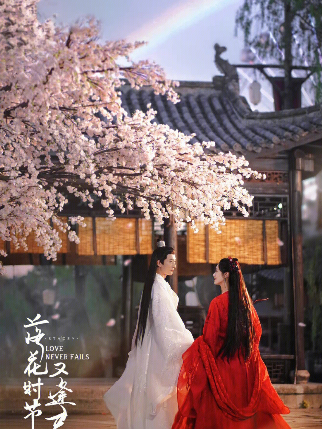 落花时节又逢君，期待再次相遇的电影佳话