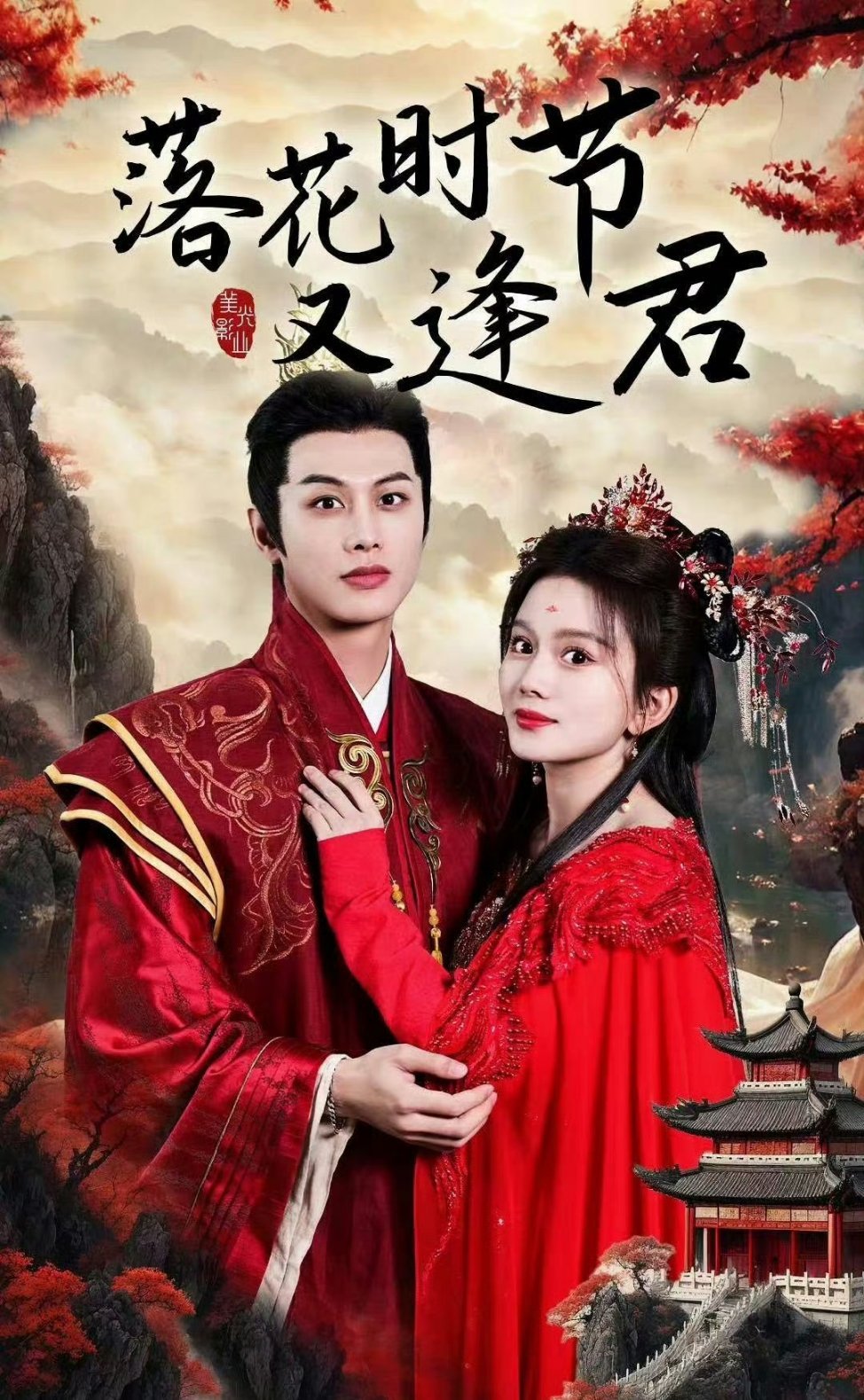 落花时节又逢君，一场深情与命运的交织剧剧情解析