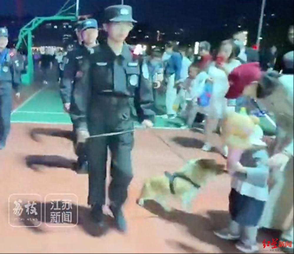 网红柯基警犬福仔巡逻时偷吃烤肠，萌态十足引热议
