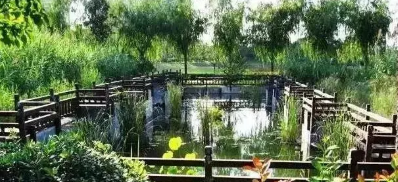 三弄淮水竹亭间，一曲文化与自然的交响