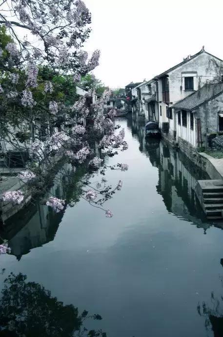 落花时节又逢君开播了吗？深度解读新季度热门大剧