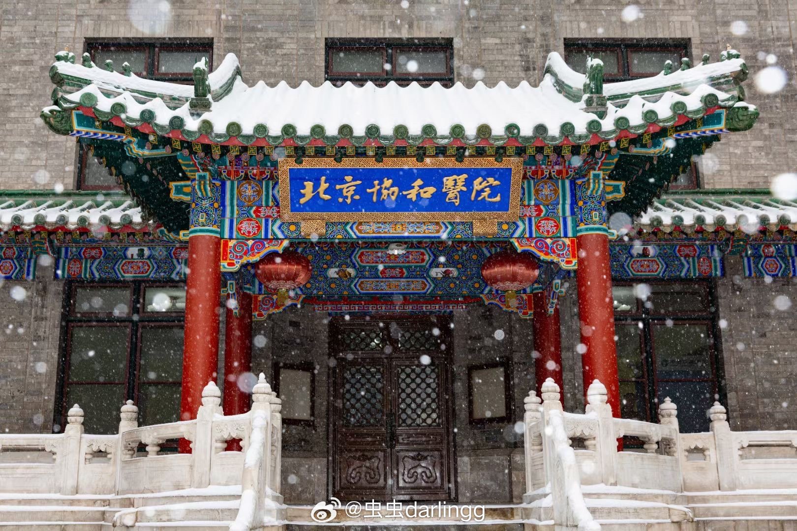 协和语的奥秘，探寻语言交融之美