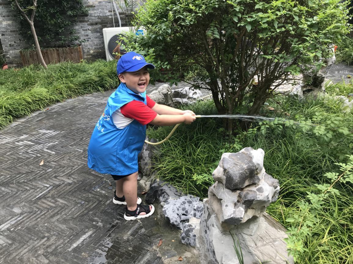 幼儿园龙头股票，市场趋势与投资者洞察
