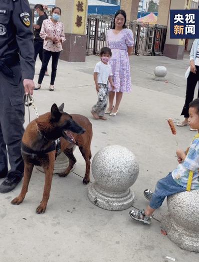 上班时间抢小朋友烤肠，警犬无辜被通报——一场误会引发的深思