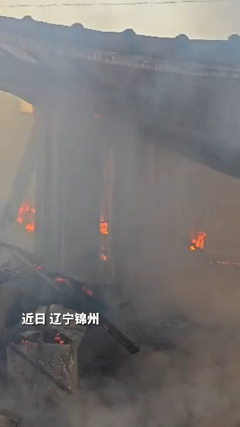 辽宁火灾事故深度解析