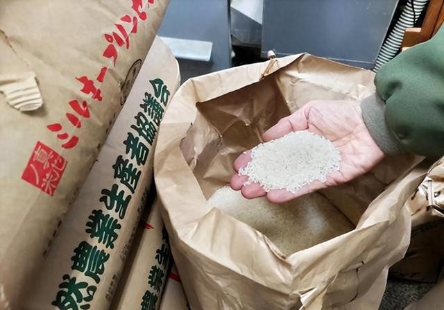 日本多地现大米盗贼现象解析