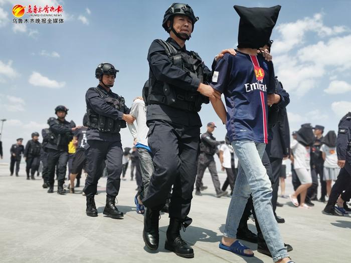 国家卫健委调查肖某董某事件深度解析