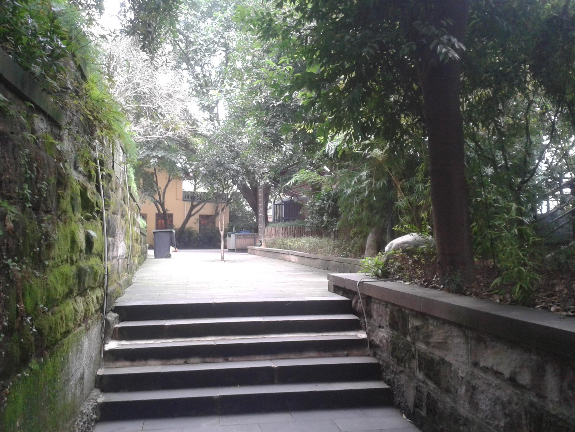 重庆李子坝视频，城市魅力与网红效应的完美结合