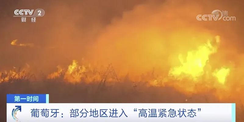以色列因山火宣布进入国家紧急状态，灾难应对与社会反响