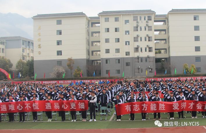 武都区学校，教育之光洒满这片土地