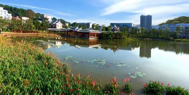 福建九月隧道车祸悲剧深度解析