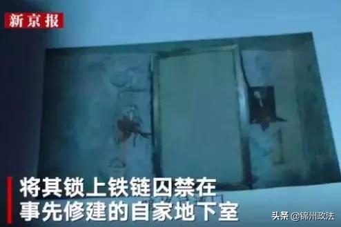 地下室囚禁案件，深度剖析与反思