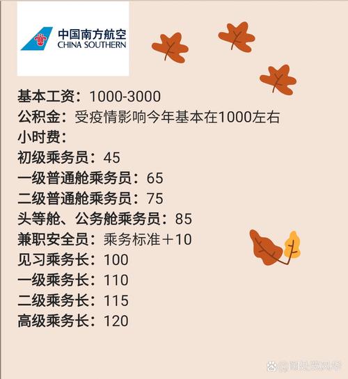 飞机机长能挣多少钱？揭秘航空业高薪背后的故事
