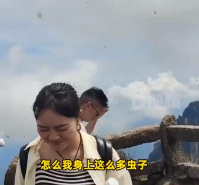 陕西一景区惊现大量虫子入侵游客颈部，引发关注热议