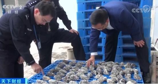 男子出海打捞生蚝，竟发现带商品标签的奇迹！