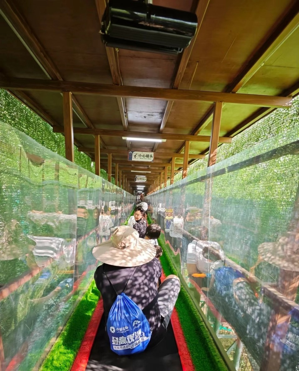 一景区观光魔毯失控，惊险之旅的背后隐患