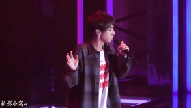 华晨宇演唱会炒饭免费，美食与音乐的完美融合，粉丝共享盛宴吃了三吨炒饭！