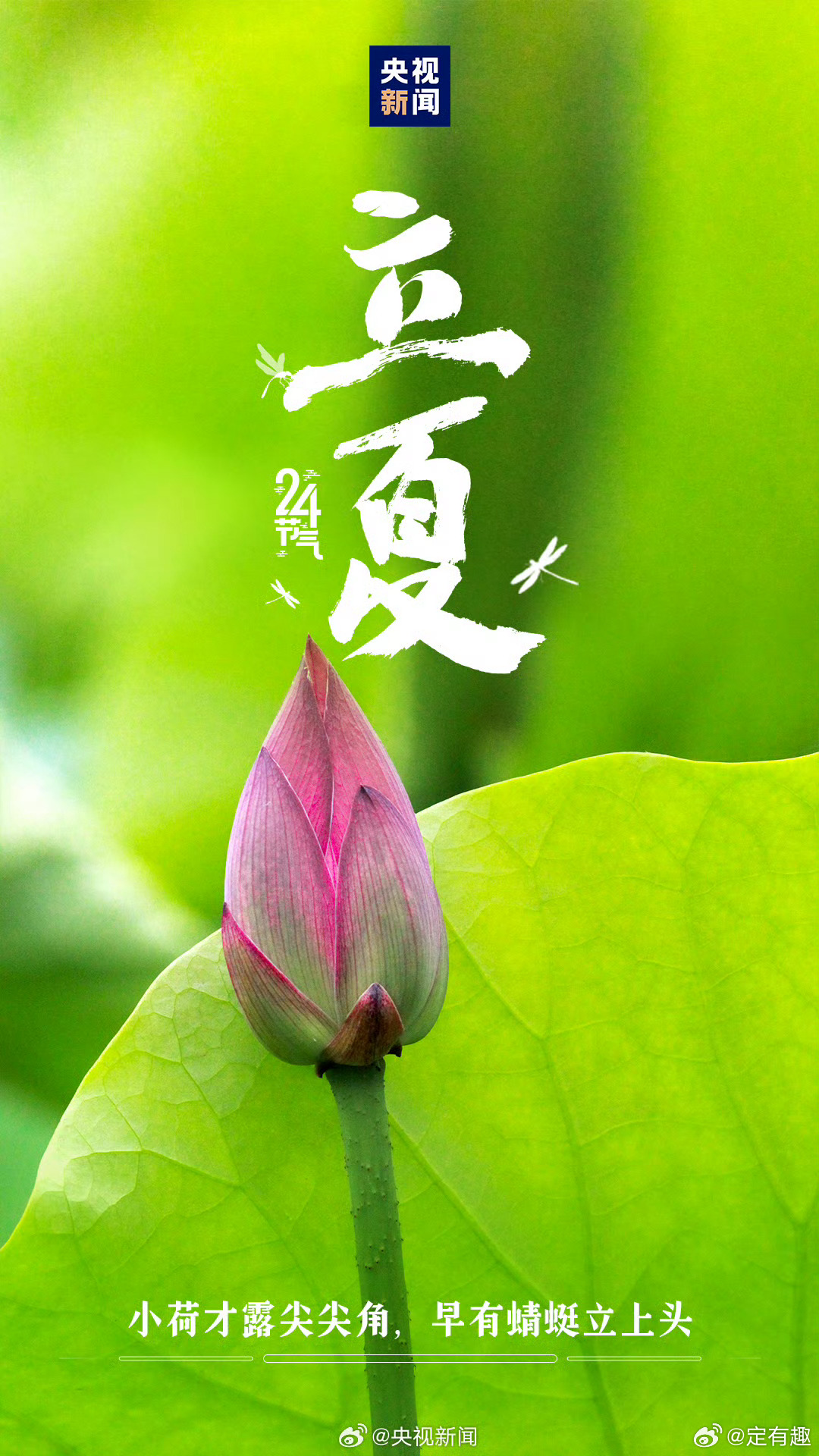 立夏时分，13时57分的独特韵味
