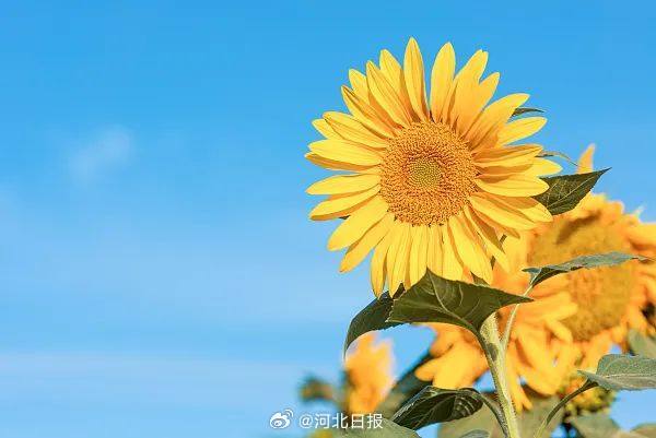 风暖昼长，万物并秀