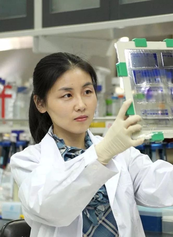 著名科学家颜宁打假网传简历事件分析