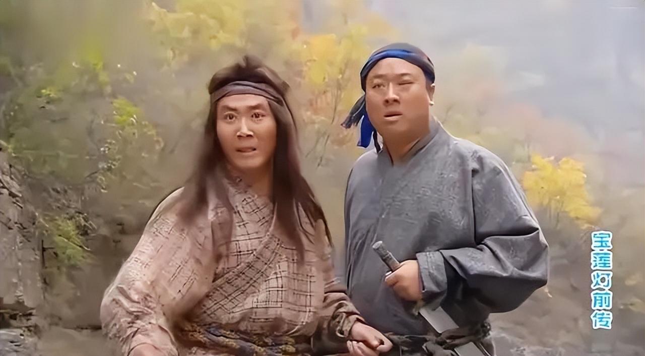 撞树对腰突有益吗？深度解析其利弊