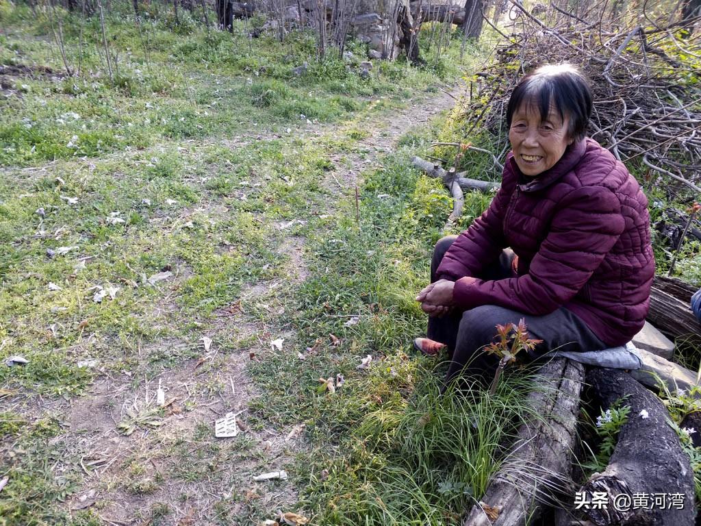 撞树锻炼，意想不到的身心益处