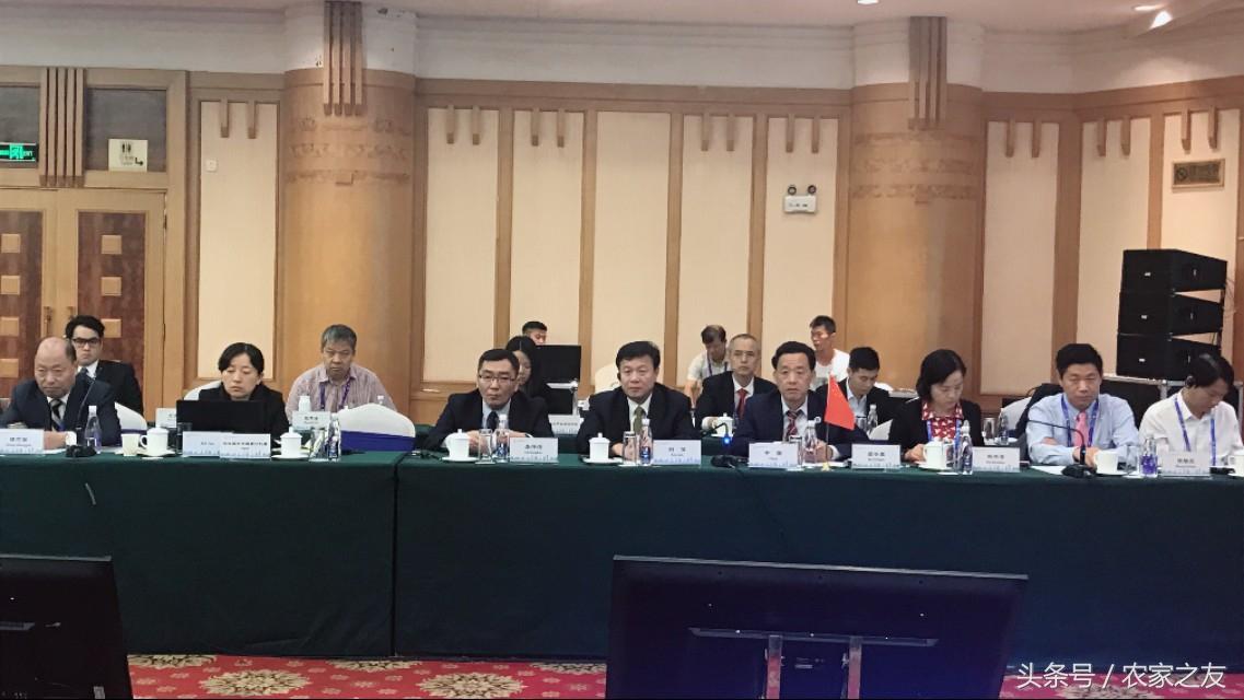 东盟十国与中日韩联合声明剑指美国，区域合作的深度与广度