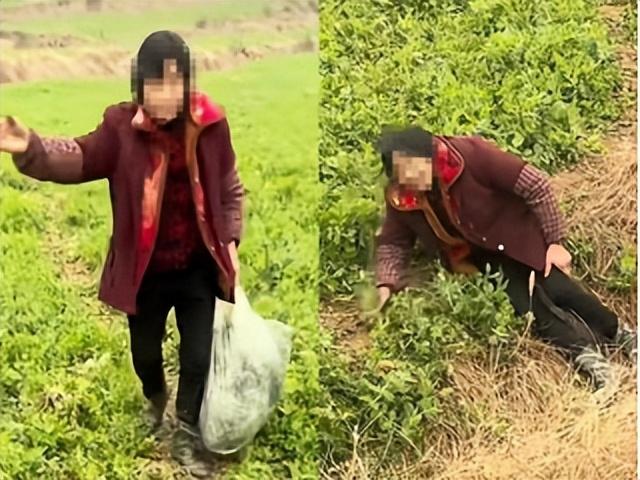 男童遭大妈强拽躺地事件，深度分析与反思