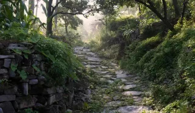 农家乐扫码闻鸡鸣遭跟风恶搞现象探析