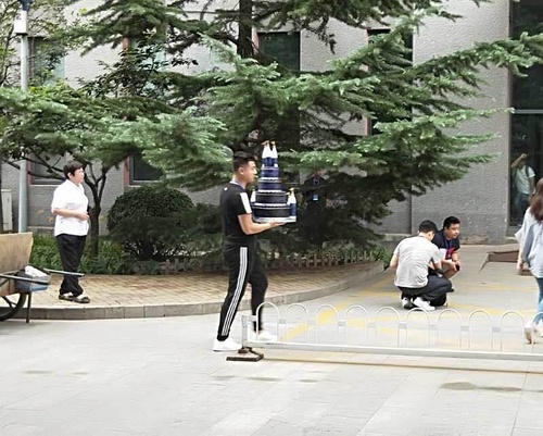 揭秘团队曝异瞳少年治沙背后的真相，摆拍还是真心？